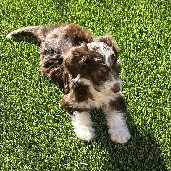 Meet your Posher, Jill - Picture 9 of 16